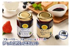 上三川産のブルーベリー、ブルーベリー＆イチゴのジャムお試し２本セット