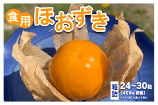 食用ほおずき　箱詰（24粒～30粒／450g前後／ガク(袋)の重さを含む）
※～2023年6月下旬頃に順次発送予定
※着日指定不可