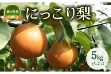 【産地直送】にっこり梨（5玉～7玉） ◇ ※離島への配送不可　※2025年10月上旬～10月下旬頃より順次発送予定