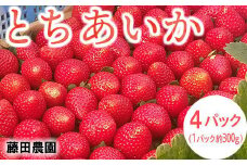 ＜先行予約＞ 鬼怒川の恵みをたっぷり受けた 栃木県上三川（かみのかわ）町産 とちあいか【4パック】 いちご イチゴ 苺 とちあいか ※2025年1月中旬～3月下旬頃に順次発送予定 ※離島への配送不可