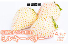 ＜先行予約＞ 鬼怒川の恵みをたっぷり受けた　栃木県上三川（かみのかわ）町産 ミルキーベリー（白いちご）【4パック】 いちご イチゴ 苺 白いちご 白イチゴ 白苺 ミルキーベリー
※2024年1月中旬～3月中旬頃に順次発送予定
※離島への配送不可