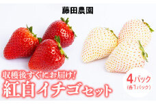 ＜先行予約＞ 【スカイベリー ミルキーベリー】鬼怒川の恵みをたっぷり受けた　栃木県上三川（かみのかわ）町産　紅白イチゴセット【紅白各2パック】 いちご イチゴ 苺 白いちご 紅白いちご
※2024年1月中旬～3月中旬頃に順次発送
※離島への配送不可