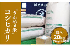 [令和6年度産] 栃木県上三川町産コシヒカリ・白米20kg（5kg×4袋）◆ | 国産 栃木県産 コシヒカリ 米 お米 単一原料米 精米 白米 栃木米 とちぎ米 産地直送 送料無料　※離島への配送不可