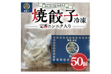 冷凍餃子 定番ニンニク入り ※離島への配送不可