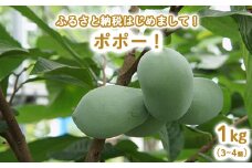 【先行予約】ふるさと納税はじめまして！ポポー！1kg入（3個から4個入） ※北海道・沖縄・離島への配送不可 ※2025年8月下旬～9月下旬頃に順次発送予定