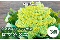 食卓を彩るオシャレ野菜・ロマネスコ（3個） ※2025年1月中旬頃～2月中旬頃に順次発送予定