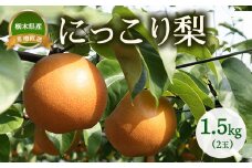 【産地直送】にっこり梨　1.5kg（2玉）　※離島への配送不可　※2025年10月上旬～10月下旬頃より順次発送予定