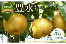 梨 豊水 約5kg（10~14玉）　※離島への配送不可　※2025年9月上旬～9月下旬頃に順次発送予定