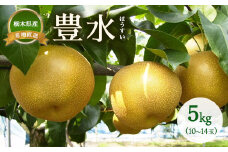 梨 豊水 約5kg（10~14玉）　※離島への配送不可　※2025年9月上旬～9月下旬頃に順次発送予定