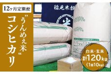 【白米】【12ヶ月定期便】栃木県上三川町産コシヒカリ (10kg×1袋)  | 国産 栃木県産 コシヒカリ 米 お米 単一原料米 精米 白米 玄米 栃木米 とちぎ米 産地直送 ※2025年10月より順次発送予定