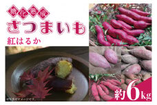 糖化熟成 さつまいも (紅はるか) 約 6kg｜栃木県 益子町 ふるさと納税 里山 熟成 さつまいも 紅はるか プレミアム 蜜芋 (AU001-2)