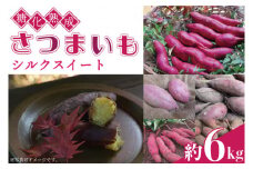 糖化熟成 さつまいも (シルクスイート) 約 6kg｜栃木県 益子町 ふるさと納税 里山 熟成 さつまいも シルクスイート プレミアム 蜜芋 (AU001-3)
