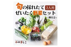 旬の採れたてぜいたく野菜セット（卵付き）2人用 益子町 ふるさと納税 やさい 野菜 セット 旬 野菜 採れたて(AA001)