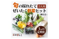 ＜3ヶ月定期便＞旬の採れたてぜいたく野菜セット（卵付き）2人用 益子町 ふるさと納税 やさい 野菜 セット 旬 野菜 採れたて(AA002)