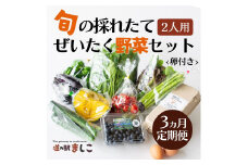 ＜3ヶ月定期便＞旬の採れたてぜいたく野菜セット（卵付き）2人用 益子町 ふるさと納税 やさい 野菜 セット 旬 野菜 採れたて(AA002)