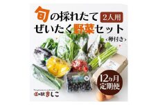 ＜12ヶ月定期便＞旬の採れたてぜいたく野菜セット（卵付き）2人用 益子町 ふるさと納税 野菜セット 野菜 やさい セット 採れたて 卵 たまご 定期便(AA035)