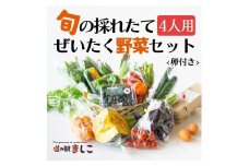 旬の採れたてぜいたく野菜セット（卵付き）4人用 益子町 ふるさと納税 野菜 やさい 野菜セット セット 卵 たまご 旬野菜 定期便(AA005)