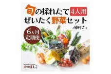 ＜6ヶ月定期便＞旬の採れたてぜいたく野菜セット（卵付き）4人用 益子町 ふるさと納税 野菜 やさい 野菜セット セット 卵 たまご 旬野菜 定期便(AA007)