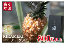 【数量限定】煌 パイナップル 800g以上 | 7月中旬より順次発送 パイナップル フルーツ 果物 新鮮 旬 益子町産 (CA004)