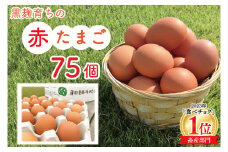 ＼大容量／黒麹育ちの赤たまご75個 |栃木県 益子町 ふるさと納税 たまご 卵 タマゴ 赤たまご 人気 濃厚 食べチョク (BC008)