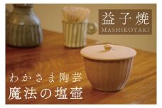 益子焼 魔法の塩壺　わかさま陶芸　電子レンジ可　食洗器可　塩壺　スプーン付き（BJ009）