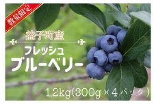 ＼数量限定／ 益子町産 フレッシュブルーベリー 1.2kg (300g×4パック) | ブルーベリー  順次発送 フルーツ 新鮮 旬 期間限定  ハイブッシュ系 大粒 ジューシー スムージー (AA019-1)