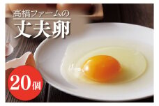AQ001　高橋ファームの丈夫卵 20個入り 　国産たまご　卵　玉子　タマゴ