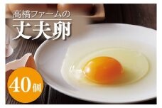 AQ003-1 高橋ファームの丈夫卵 40個入り 国産たまご　卵　玉子　タマゴ
