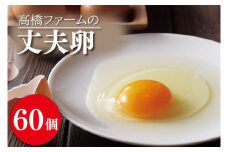 AQ004 高橋ファームの丈夫卵 60個入り 　国産たまご　卵　玉子　タマゴ