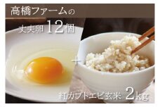 AQ005　高橋ファームの丈夫卵12個+紅カブトエビ玄米2kg