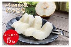 【先行予約】【数量限定】仁平果樹園の梨 「にっこり」5kg (5個～12個) (10月上旬より順次配送) | 果物 新鮮 フルーツ ギフト 梨 ナシ 益子町産梨 甘い あまい 糖度11.5以上 糖度保証 果汁 果肉 栃木県 益子町 (DB005)