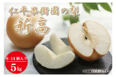 【先行予約】【数量限定】仁平果樹園の梨 「新高」5kg (8個～14個) (9月下旬より順次配送) | 果物 新鮮 フルーツ ギフト 梨 ナシ 益子町産梨 甘い あまい 糖度11.5以上 糖度保証 果汁 果肉 栃木県 益子町 (DB004)
