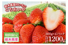 鈴木農園のいちご　とちあいか 約300g×4パック｜栃木県 益子町 ふるさと納税 いちご イチゴ 苺 果物 フルーツ とちあいか 人気（DJ001）