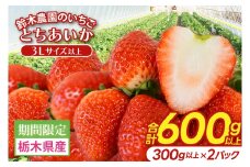 鈴木農園のいちご　とちあいか 約300g以上×2パック｜栃木県 益子町 ふるさと納税 大きい いちご イチゴ 苺 果物 フルーツ とちあいか 人気 600g以上 3Lサイズ（DJ002）