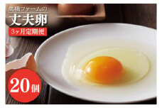 AQ008　【3ヶ月定期便】高橋ファームの丈夫卵 20個入り