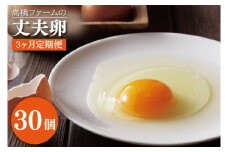 AQ011　【3ヶ月定期便】高橋ファームの丈夫卵30個入り