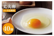 AQ015　【6ヶ月定期便】高橋ファームの丈夫卵40個入り