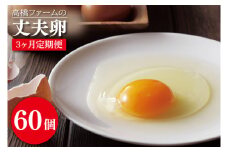 AQ017　【3ヶ月定期便】高橋ファームの丈夫卵60個入り