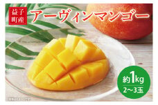 【数量限定】益恋 マンゴー 約1kg（2～3玉）| 7月中旬より順次発送 マンゴー フルーツ 果物 新鮮 旬 益子町産 (CA005)