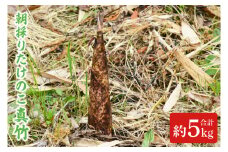＼旬な今だけ／【数量限定】朝採りたけのこ 真竹 約 5kg (AA038-1)