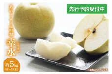 【先行予約】【数量限定】あい farm の梨 幸水 5kg (8～16玉) | 8月中旬より順次発送 梨 なし フルーツ 果物 新鮮 旬 梨園 益子町産 (DQ001)