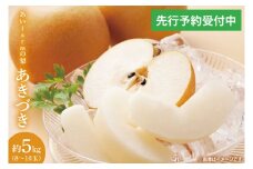 【先行予約】【数量限定】あい farm の梨 あきづき 5kg (8～16玉) | 9月下旬より順次発送 梨 なし フルーツ 果物 新鮮 旬 梨園 益子町産 (DQ003)