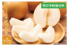 【先行予約】【数量限定】あい farm の梨 にっこり 5kg (6～12玉) | 10月中旬より順次発送 梨 なし フルーツ 果物 新鮮 旬 梨園 益子町産 (DQ004)