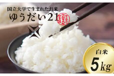 ＼令和7年産・先行予約／【数量限定】あい　farm　やなぎのお米　令和7年産 ゆうだい21 白米 5kg | 栃木県 益子町 ふるさと納税 お米 米 5kg 白米 (DQ006)
