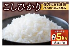 ＼新米 先行予約／11月発送予定 ★令和7年産★ 米 5kg 白米 精米 「コシヒカリ」山崎観光農園 栃木県 益子町 ふるさと納税 お米 こしひかり 白米 精米 5キロ 高評価 令和7年 先行予約 (AU014-11)
