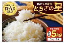 ＼新米 先行予約 10月より順次発送予定／★令和7年産★ 米 5kg 白米 精米 「とちぎの星」山崎観光農園 栃木県 益子町 ふるさと納税 お米 とちぎの星 白米 精米 5キロ 高評価 令和7年 先行予約 (AU023)