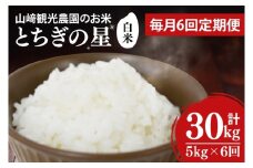 【全6回定期便】＜毎月＞ ★先行予約 10月より順次発送予定★ 山﨑観光農園のお米 とちぎの星 白米 5kg（合計 30kg）｜栃木県 益子町 ふるさと納税 お米 米 白米 精米 5kg 令和7年産 先行予約 定期便（AU036）