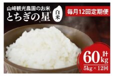 【全12回定期便】＜毎月＞ ★先行予約 10月より順次発送予定★ 山﨑観光農園のお米 とちぎの星 白米 5kg（合計 60kg）｜栃木県 益子町 ふるさと納税 お米 米 白米 精米 5kg 令和7年産 先行予約 定期便（AU037）