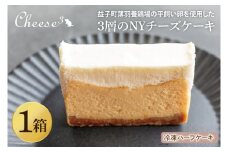 3層のNYチーズケーキ　冷凍ハーフケーキ｜栃木県 益子町 ふるさと納税 チーズケーキ NYチーズケーキ ケーキ 冷凍ケーキ（CP005）