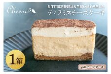 ティラミスチーズケーキ　冷凍ハーフケーキ｜栃木県 益子町 ふるさと納税 チーズケーキ ティラミス ケーキ 冷凍ケーキ（CP006）